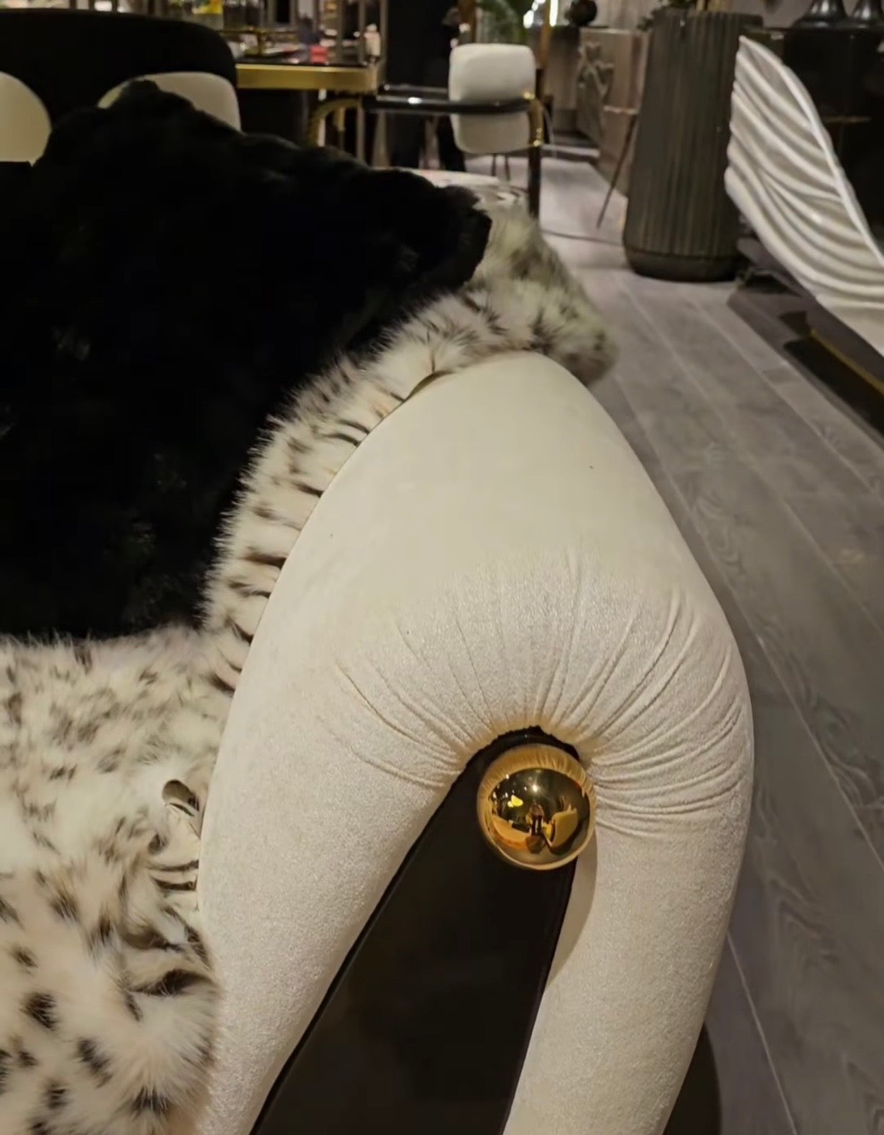 Monochrome modern luxury furniture collection featuring ivory curved sofa, black lacquer tables, and gold accent dining furniture.